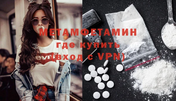 индика Медвежьегорск
