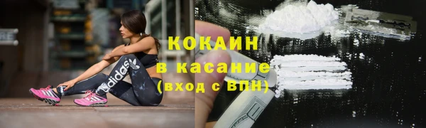 твердый Магас