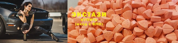 индика Медвежьегорск