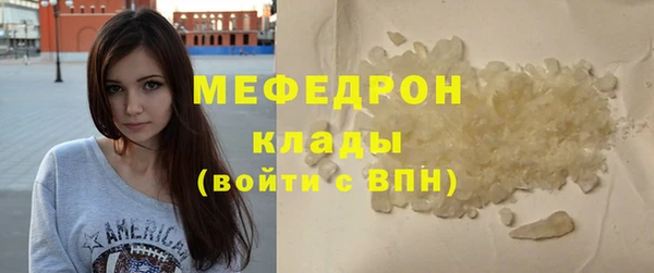 индика Медвежьегорск