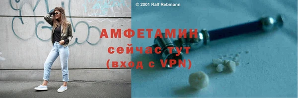 твердый Магас