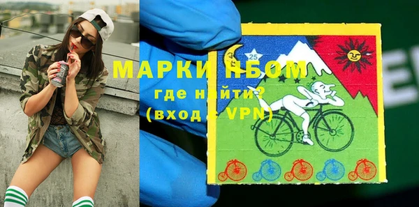 твердый Магас