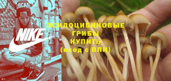 соль ск Майский