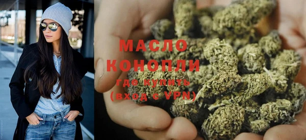 индика Медвежьегорск